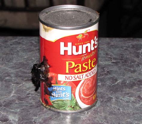 botulism canned dog food